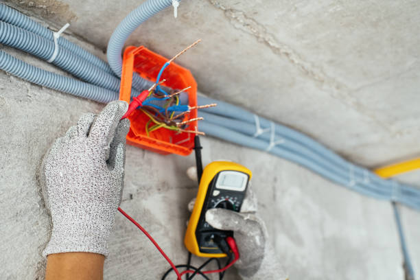 Best Electrical Repair Services  in Saline, MI
